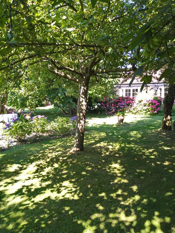 Ouddorp Vakantiehuisje Экстерьер фото