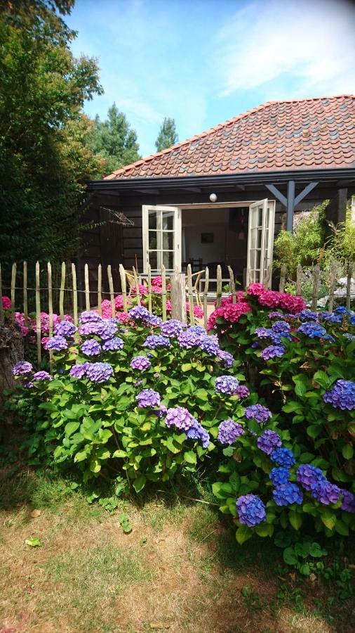 Ouddorp Vakantiehuisje Экстерьер фото
